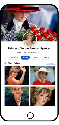 Photo & Video Memories